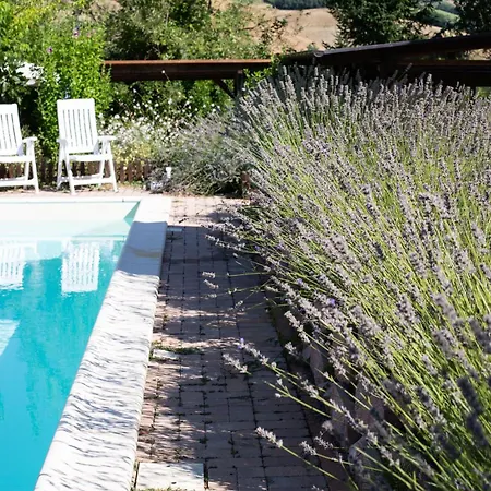 Casa Oliva Pool And Relaxing *