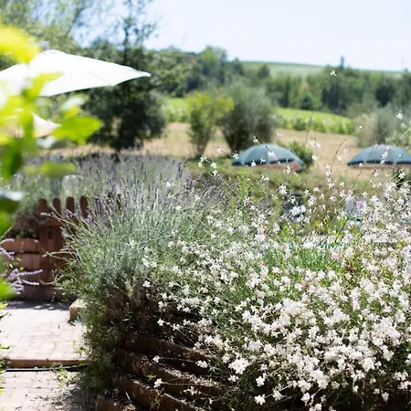 Villa Casa Oliva Pool And Relaxing San Ginesio